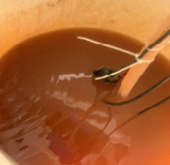 Iron and Metals Removal